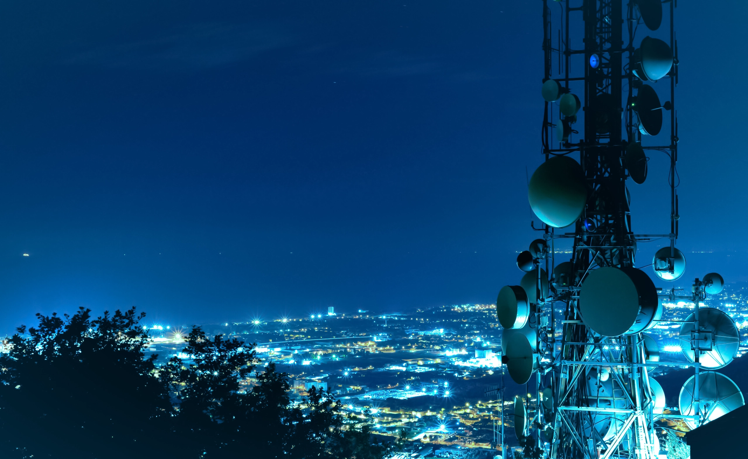 Telecommunications Services